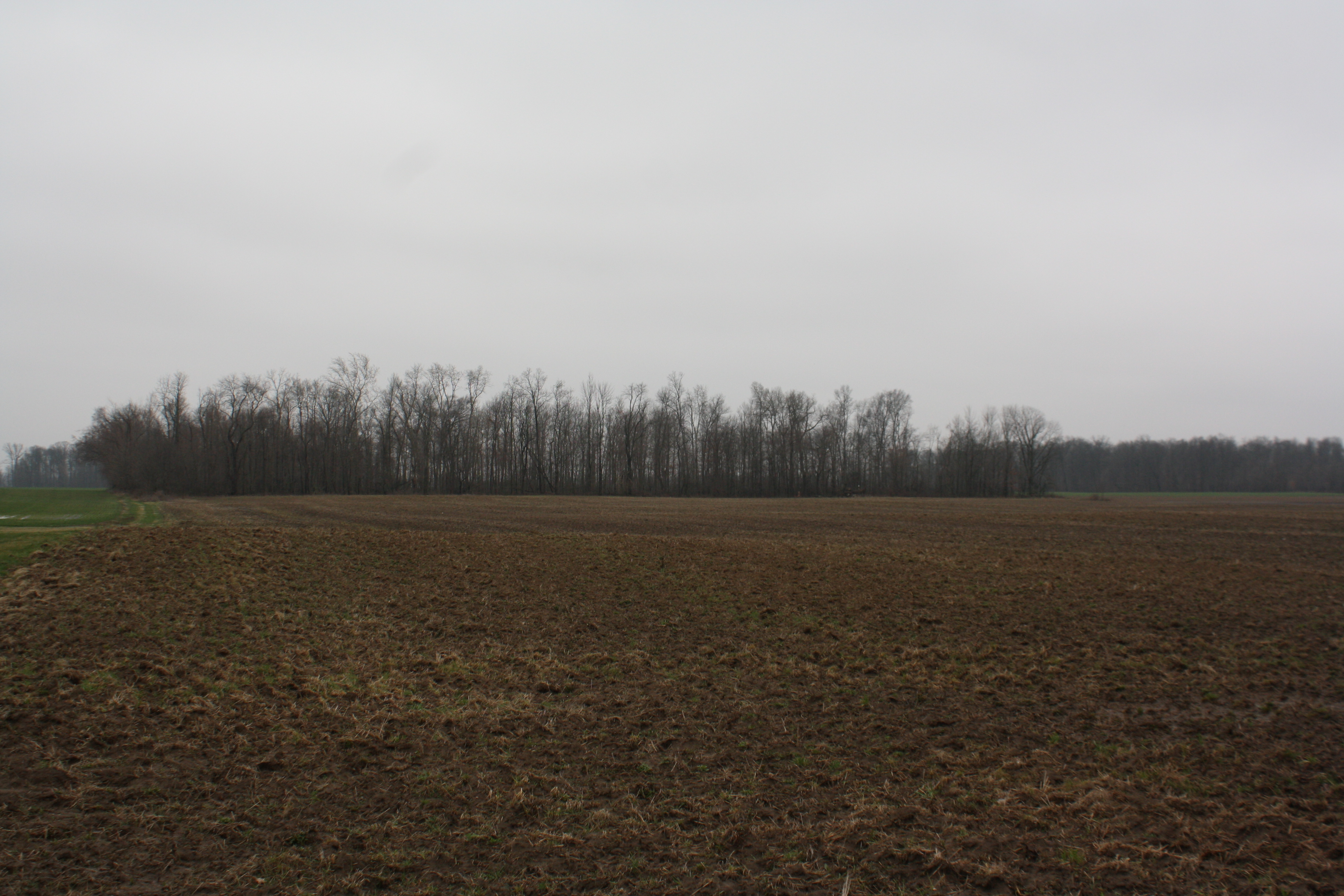 Real Estate Auction Wigton Auction